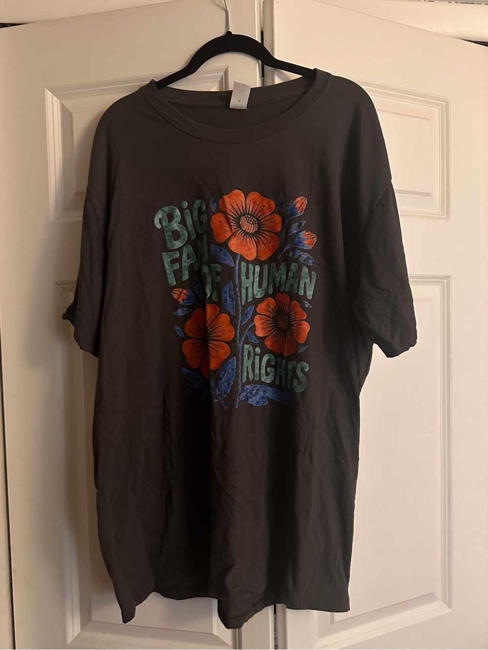 Big Fan of Human Rights t-shirt